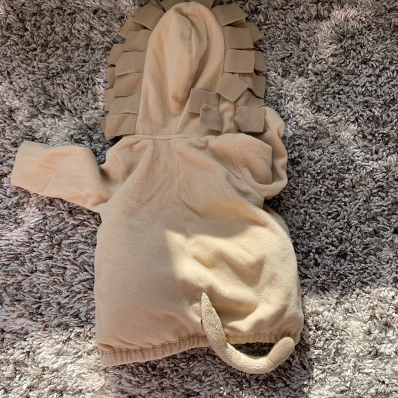 Carter’s little Lion Halloween custom - Picture 4 of 5